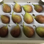 いちじく の 美容効果は あなどれない